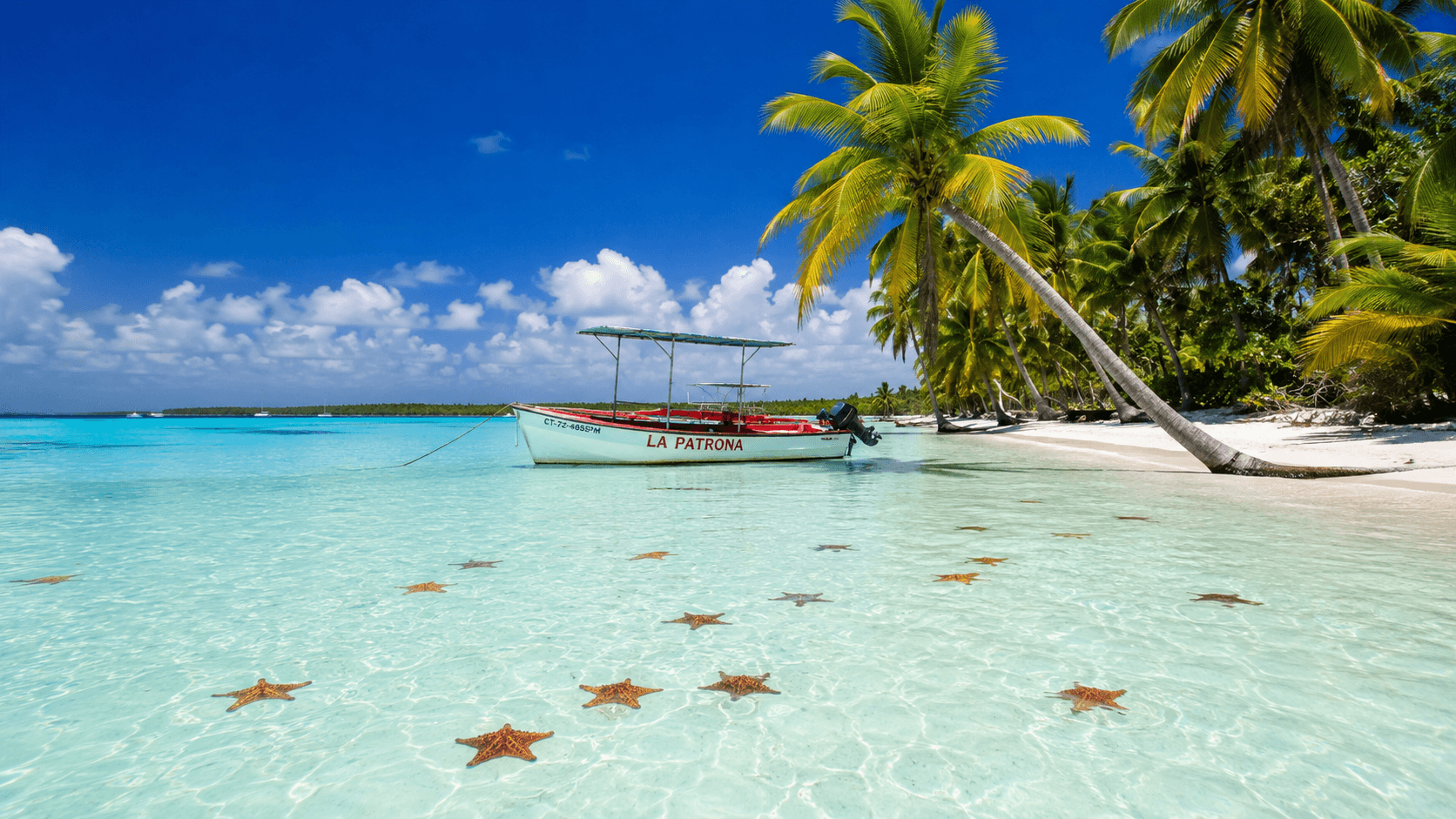 Saona Island turquoise waters and white sand beach in Dominican Republic
