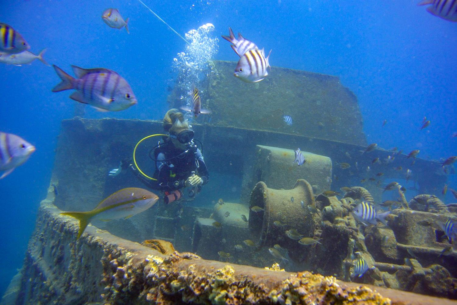 Exploring coral reefs in Bayahibe