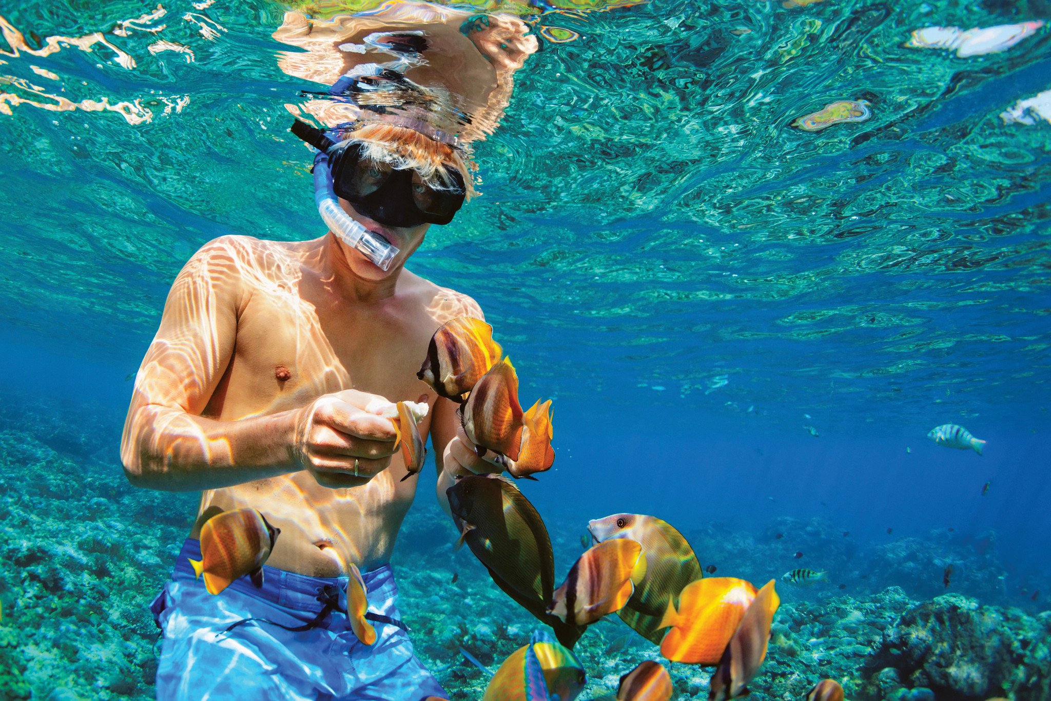 Pristine beach and coral reefs at Catalina Island