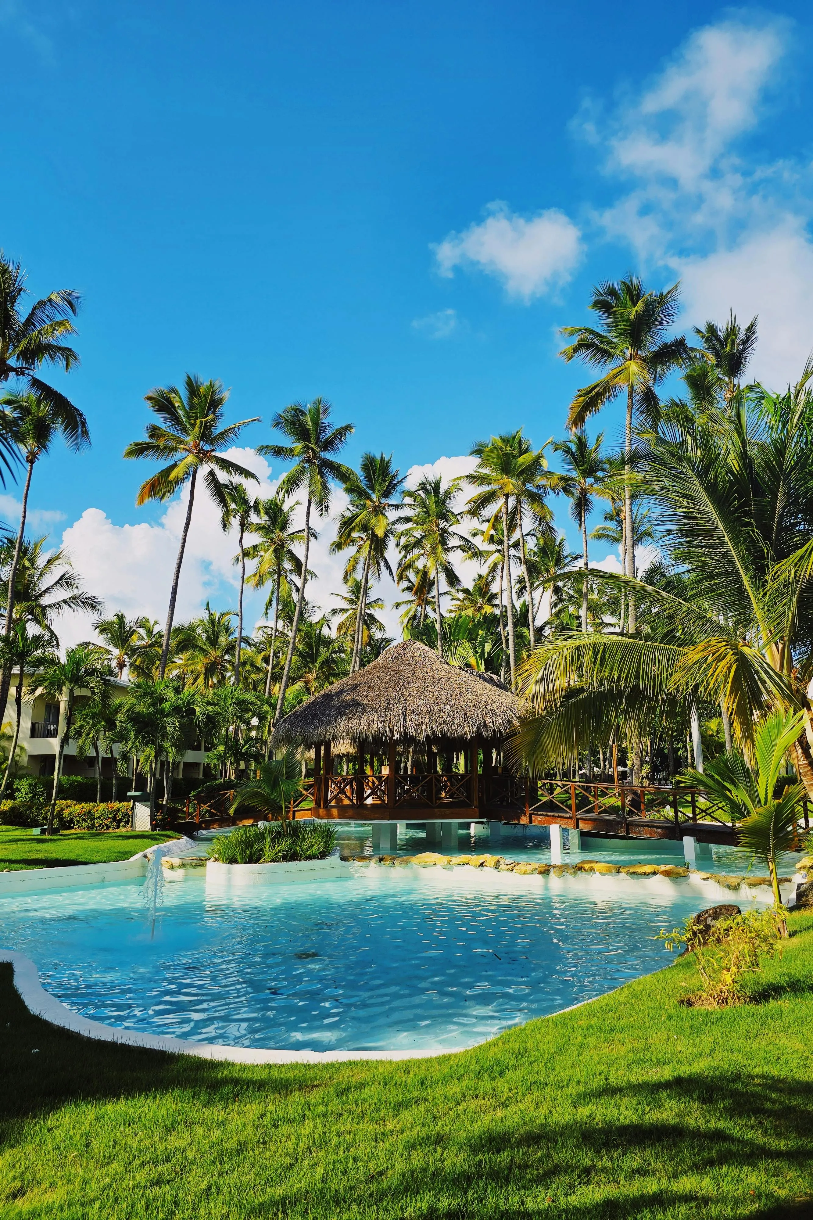 Palm trees surrounding a thatched palapa and resort pool in Punta Cana