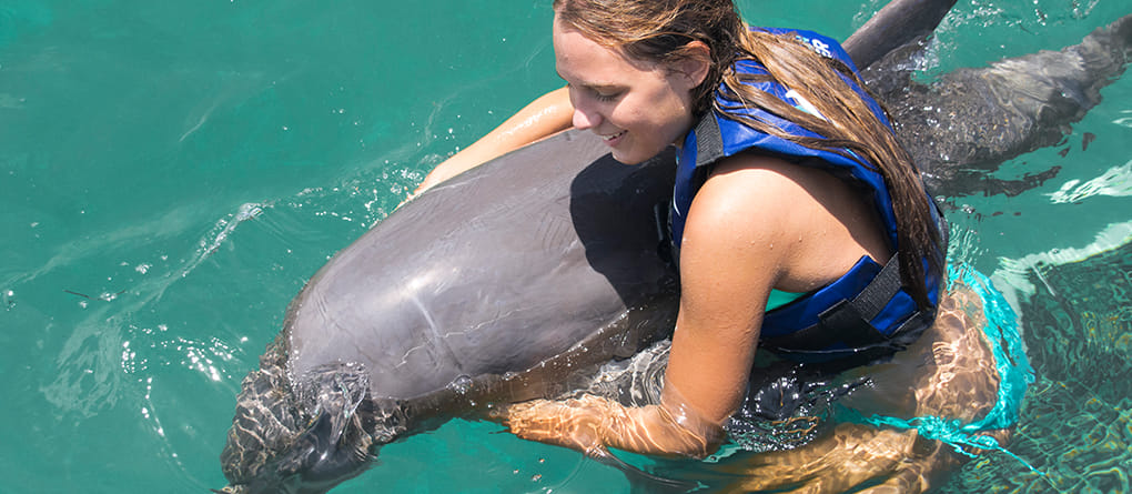 Magical dolphin kiss experience
