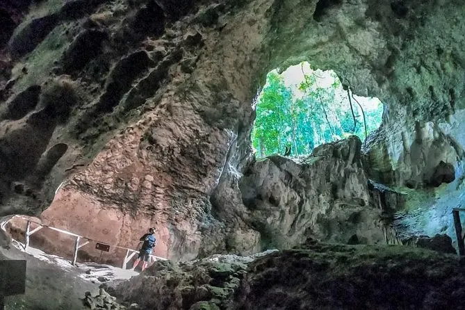 Limestone formations and mangroves in Los Haitises National Park
