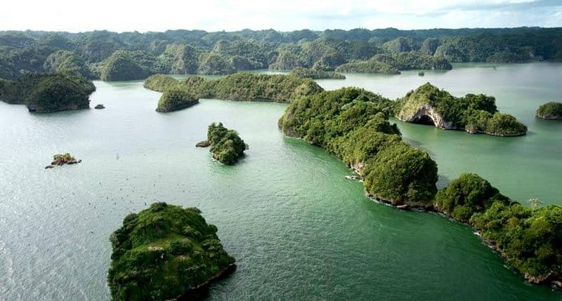 Wildlife spotting in Los Haitises National Park